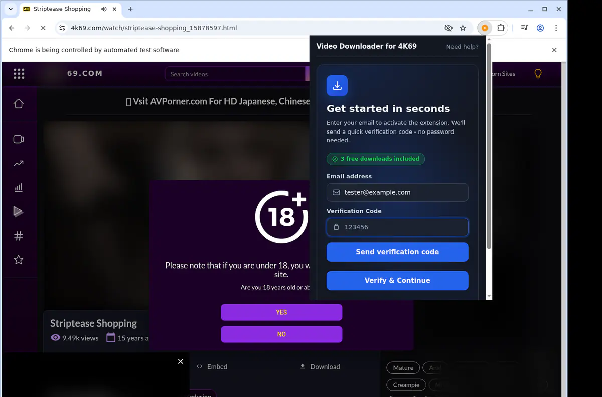 4k69 Video Downloader browser extension screenshot 4